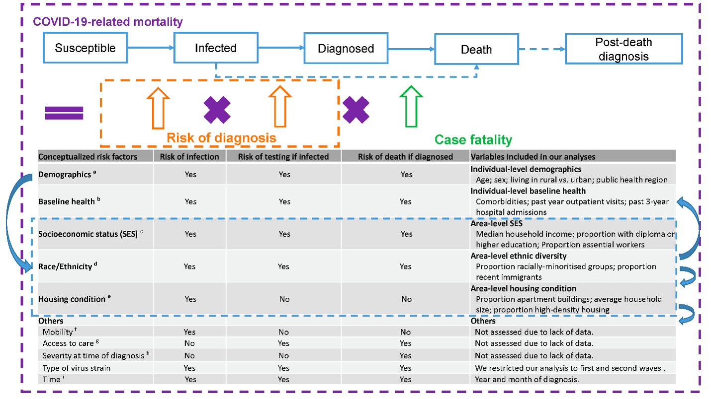 A population-based study of 11.8 million people in Ontario, Canada identified differential patterns by area-level social determinants of health in COVID-19-related mortality and non-COVID-19 mortality.